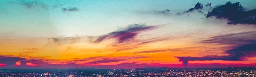 南漳茶虫网_南漳品茶